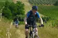 Mountainbiker auf einem Weg inmitten von Weinbergen.