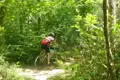 Mountainbiker auf einem Waldweg.