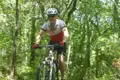 Mountainbiker auf einem Waldweg.