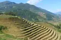 Terrassenförmig angelegte Reisfelder in einer Bergregion.