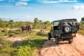 Safari-Jeep mit Touristen beobachtet einen Elefanten in freier Wildbahn.