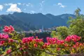 Blühende Bougainvillea im Vordergrund mit Blick auf ein Bergdorf und eine weiße Kirche.