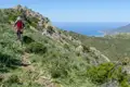Mountainbiker auf einem Bergpfad mit Blick auf das Meer.