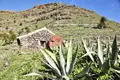 Traditionelles Steinhaus mit Agaven und Palmen vor einem Hügel.