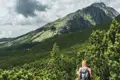 Wanderer auf einem Bergpfad inmitten grüner Vegetation mit Blick auf einen felsigen Gipfel.
