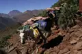 Maultiere tragen Gepäck auf einem Bergpfad, was auf eine Trekkingtour oder eine Reise in einer Region hinweist, wo Maultiere als Transportmittel verwendet werden.