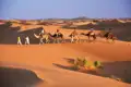 Kamelkarawane in der Wüste.