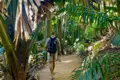 Person mit Rucksack wandert auf einem Weg durch einen Palmenwald.