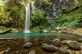 Wasserfall mit türkisfarbenem Becken inmitten üppiger Vegetation.