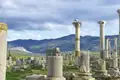 Antike römische Säulen in Volubilis mit einem Storchennest und Hügeln im Hintergrund.