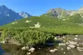 Panorama eines Bergsees mit üppiger Vegetation und den Gipfeln der Hohen Tatra im Hintergrund.
