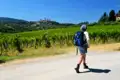 Wanderer auf einem Weg durch Weinberge in der Nähe von San Gimignano.