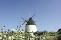 Windmühle auf einem Hügel.