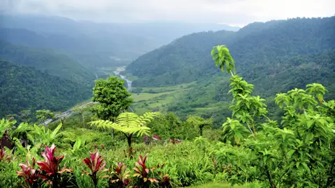 Aussicht auf El Copal mit üppiger Vegetation und Fluss.
