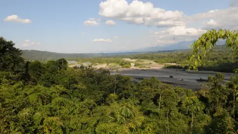 Ausblick auf einen Fluss, der sich durch den üppigen Regenwald schlängelt, umgeben von dichter Vegetation und Bergen im Hintergrund.