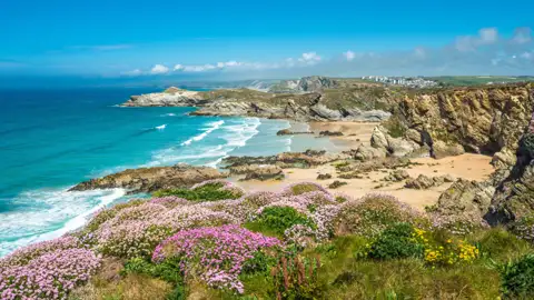 Panoramablick auf die Küstenlinie mit blühenden Pflanzen, Sandstrand und azurblauem Meer.