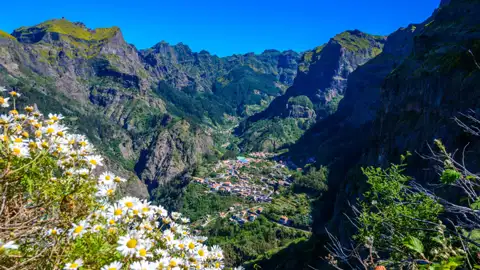 Talblick auf Madeira mit Bergen und Wildblumen.
