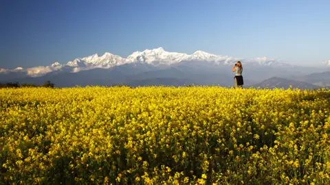 Beobachtung der Bergkette über einem blühenden Feld.