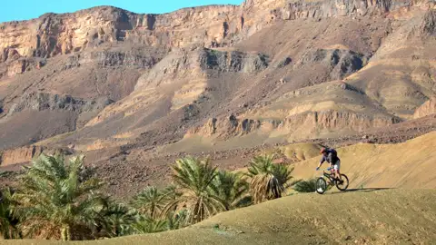 Mountainbiker in einer Wüstenlandschaft mit Palmen und Bergen.