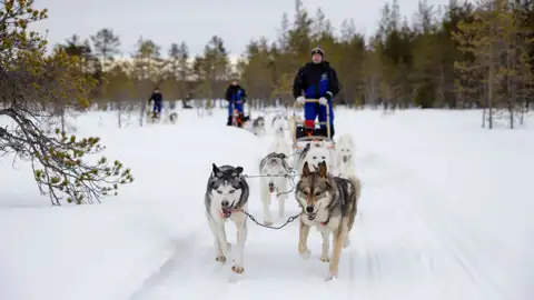 Hundegespann mit Schlittenführer in verschneiter Winterlandschaft.