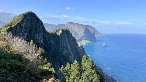 Steile Klippen und grüne Vegetation an der Atlantikküste.