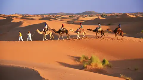 Kamelkarawane in der Wüste.
