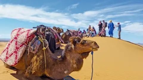 Reisegruppe ruht auf einer Düne während einer Kamelwanderung.