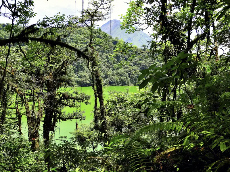 Blick durch den Dschungel auf einen grünen See und einen Vulkan.