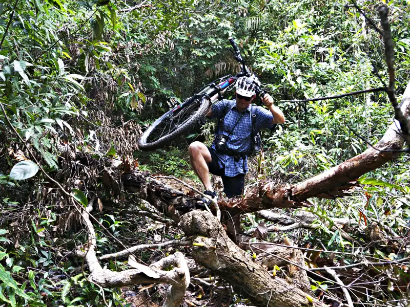 Mountainbiker überwindet Hindernis im Dschungel.