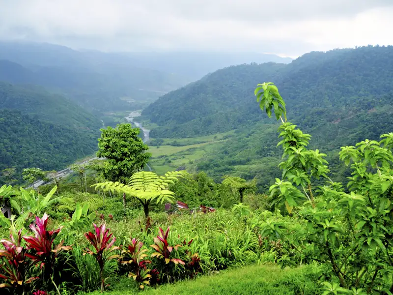 Aussicht auf El Copal mit üppiger Vegetation und Fluss.