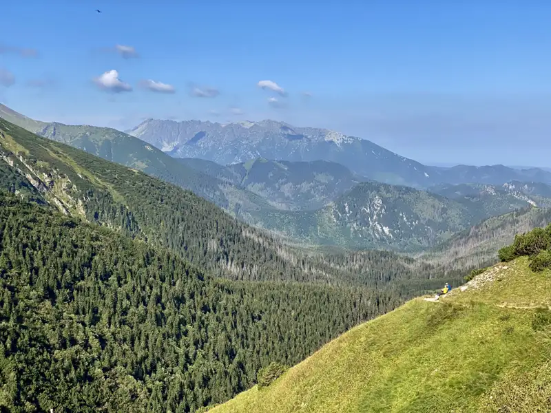 Ausblick auf die bewaldeten Hänge und Bergketten.