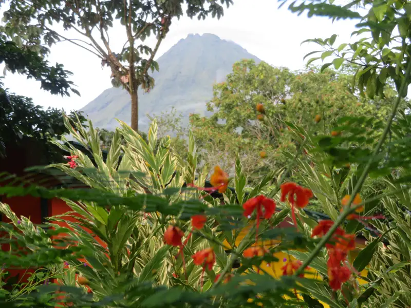 Vulkan durch tropische Pflanzen.