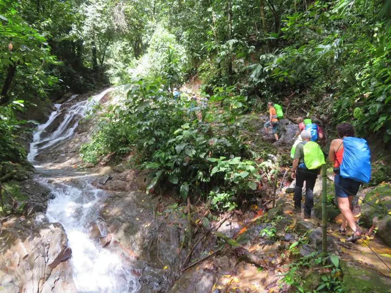 Wandergruppe auf einem Regenwaldpfad entlang eines Wasserfalls.