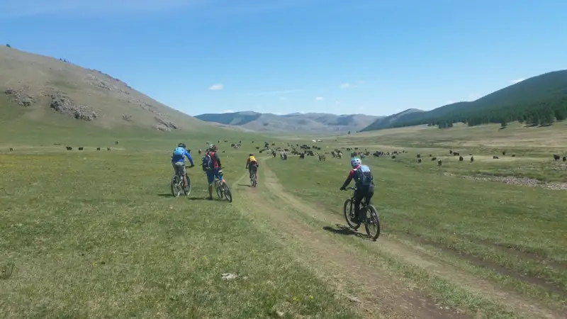 Radfahrer Radreise Mongolei Steppe