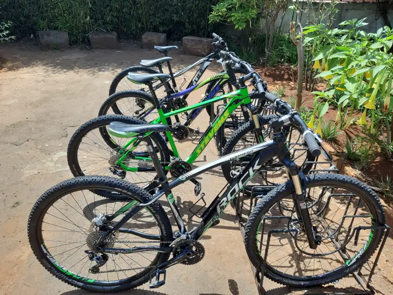 Mountainbikes im Fahrradständer.