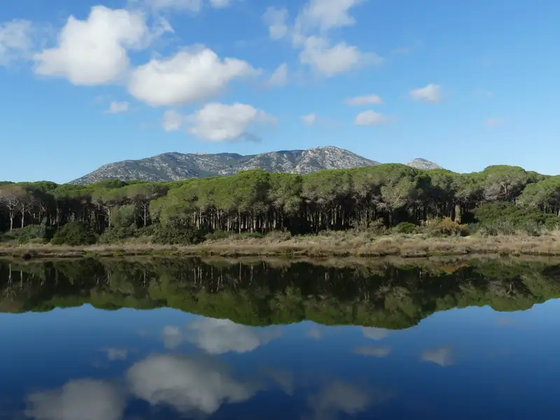 Ruhiger See mit Spiegelung von Bäumen und Himmel.