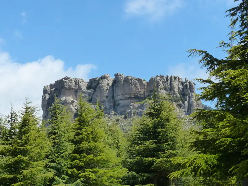 Spektakuläre Felsformation, umgeben von üppigem Nadelwald.