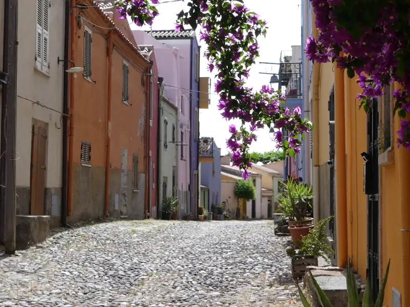 Gepflasterte Straße mit bunten Häusern und Bougainvillea.