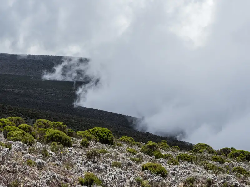 Wolkenverhangener Berghang mit Vegetation im Vordergrund.
