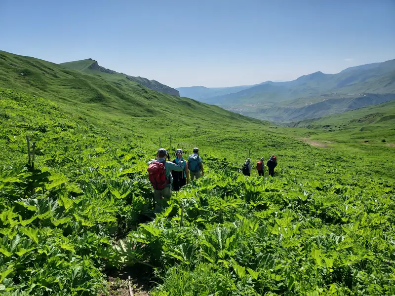 Wandergruppe auf einem Bergpfad inmitten von üppiger Vegetation.