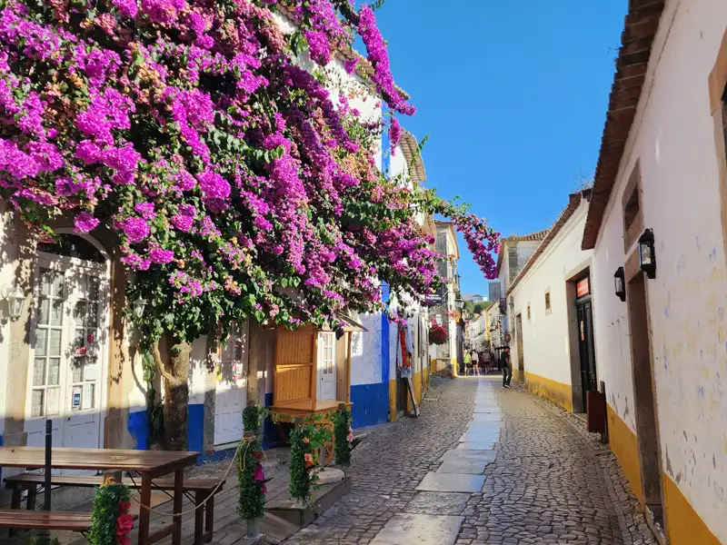 Kopfsteinpflasterstraße mit blühender Bougainvillea und traditionellen Häusern.
