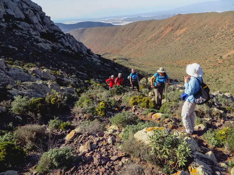Wandergruppe auf einem Bergpfad mit Trekkingstöcken.