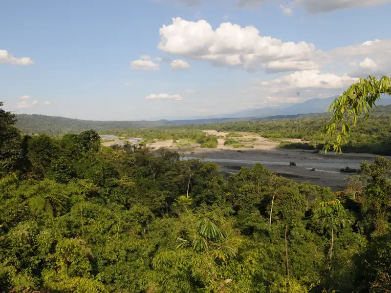 Ausblick auf einen Fluss, der sich durch den üppigen Regenwald schlängelt, umgeben von dichter Vegetation und Bergen im Hintergrund.