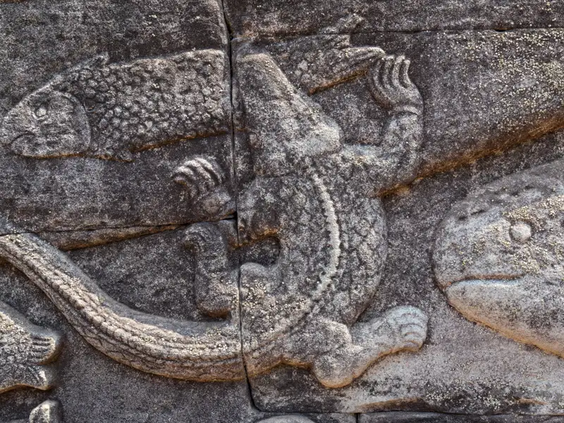 Steinrelief eines Krokodils und eines Fisches.