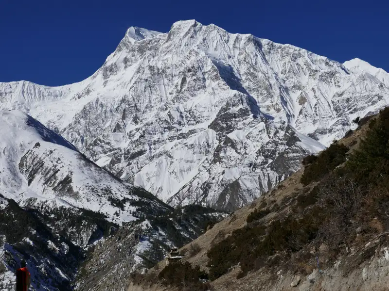 Schneebedeckter Berg im Hintergrund.