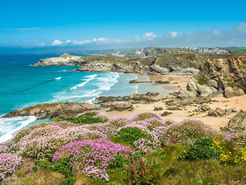 Panoramablick auf die Küstenlinie mit blühenden Pflanzen, Sandstrand und azurblauem Meer.
