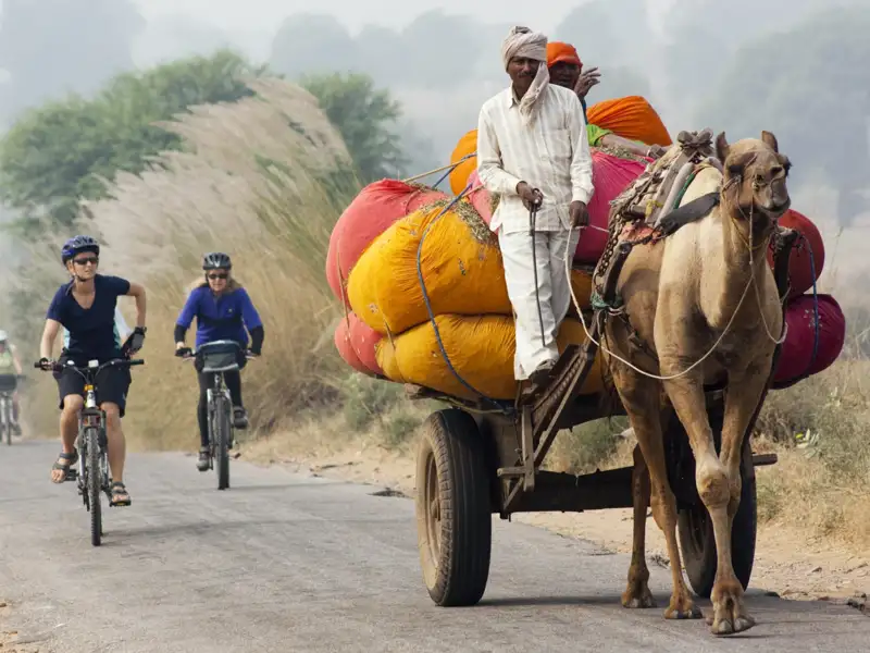 Radfahrer auf einer Reise begegnen einem Kamelkarren, der mit bunten Säcken beladen ist.