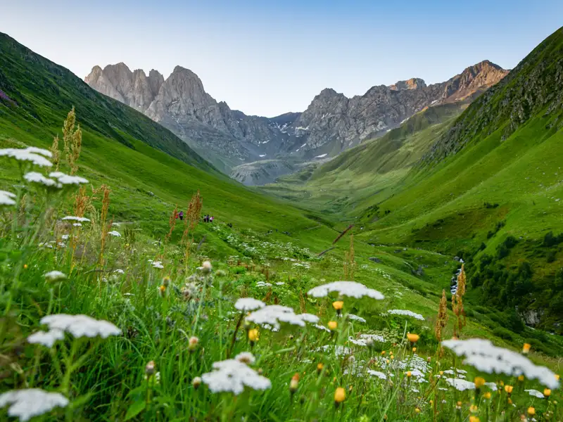 Wanderung durch blühende Bergwiesen mit Blick auf die majestätischen Gipfel.