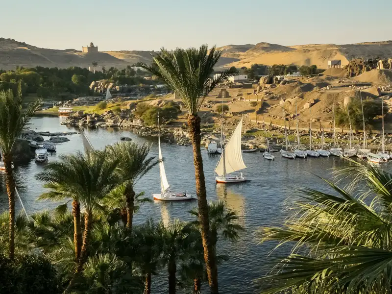Traditionelle Segelboote auf dem Nil, umgeben von Palmen und der ägyptischen Landschaft.