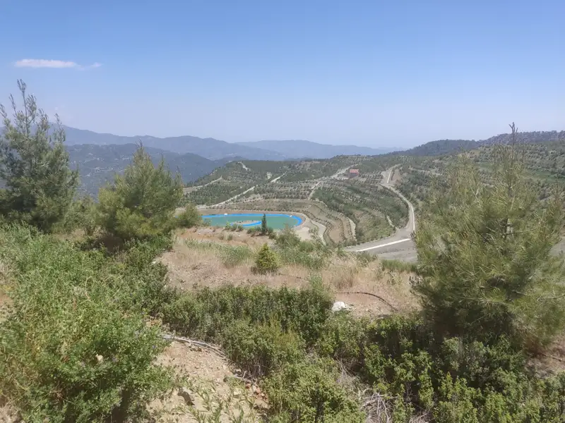 Blaues Wasserbecken inmitten von Terrassenfeldern und Bäumen.